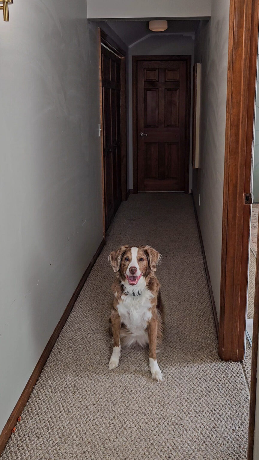 Hallway Trim Update - Cedar Hill Builder