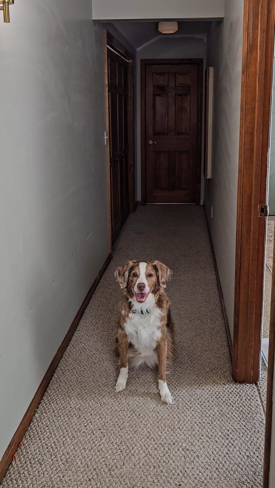 Hallway Trim Update - Cedar Hill Builder