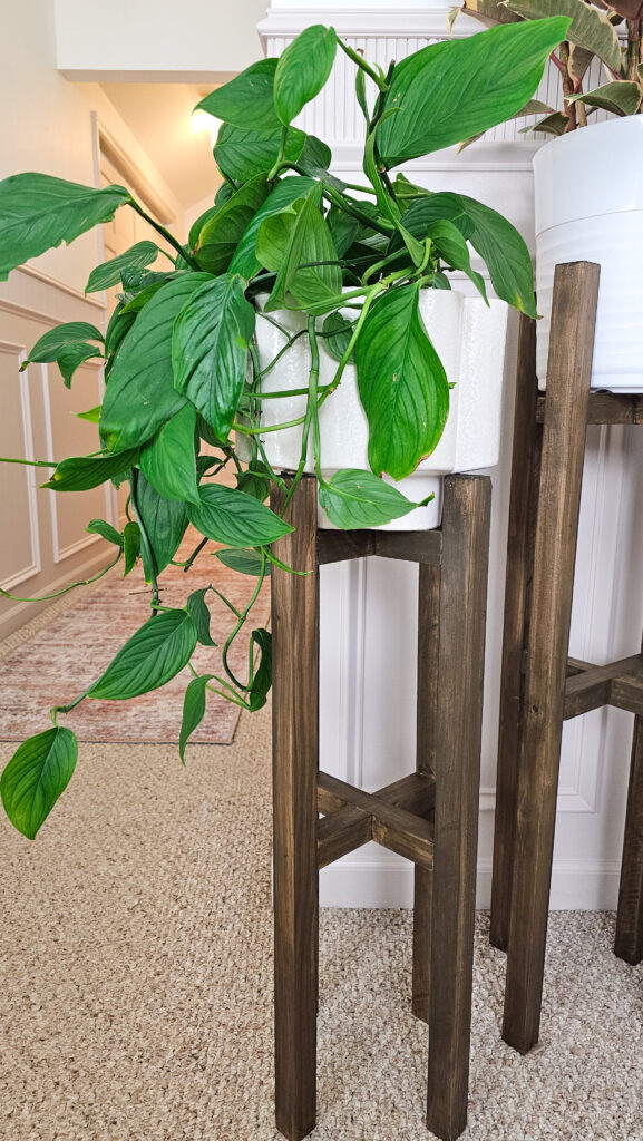 DIY Plant Stands in hallway with pole wrap trim and box detail